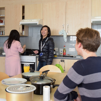 Accommodation Kitchen