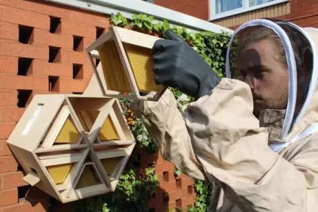 beekeeping person