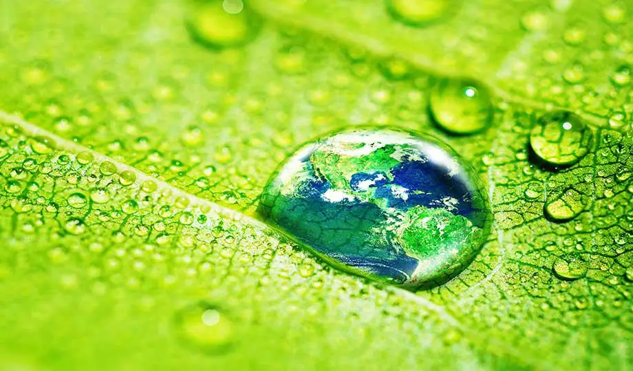 Leaf_drop_planet_shutterstock_1955868466_920x540