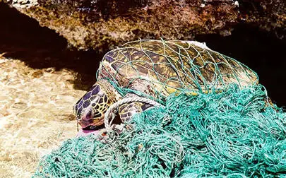 image of Global effort could cut ocean plastics by 77% by 2025