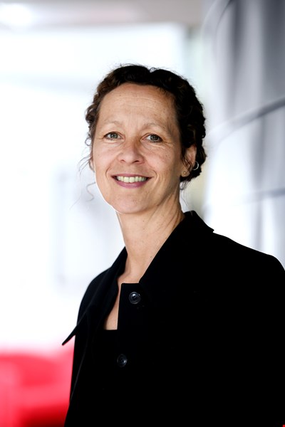 <span class='contactname'>Professor Louise Mansfield</span>