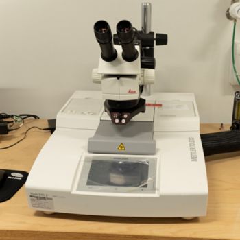 Thermal Characterisation - Flash Differential Scanning Calorimetry