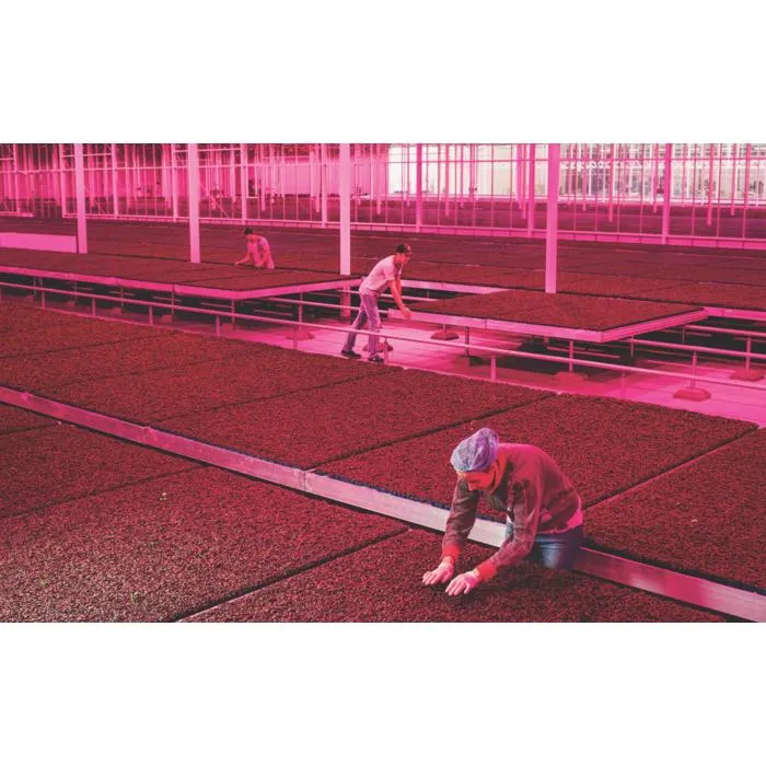 AMO/ Rem Koolhaas,   “Countryside: A Report” -  Greenhouse city/Regenerative Agricultur2020 (c) AMO