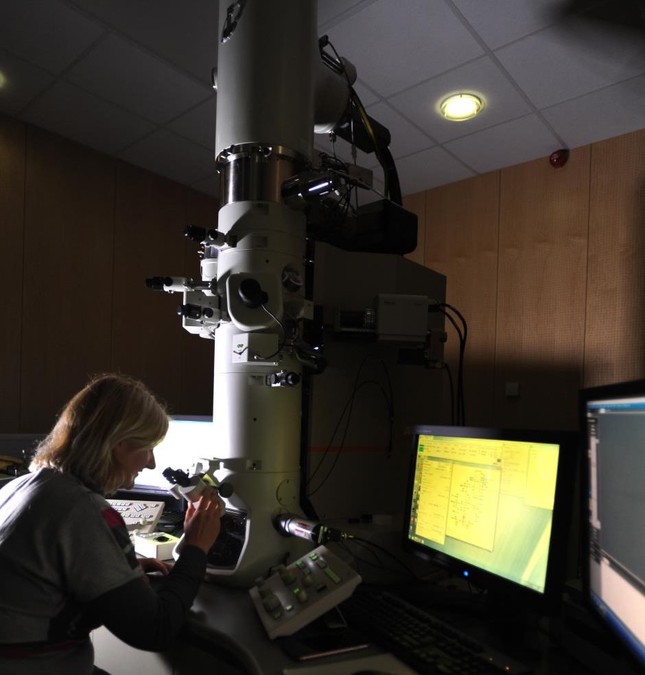 Electron Microscopy | Brunel University London