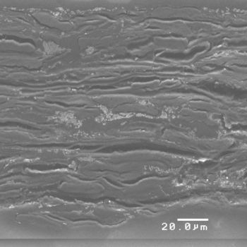 Microscopic view of a material surface with layered structure and scale indicator "20.0 µm".