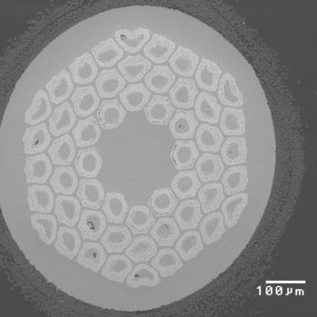 Microscopic view of a circular cross-section of a material with hexagonal structures and the scale indicator "100µm".