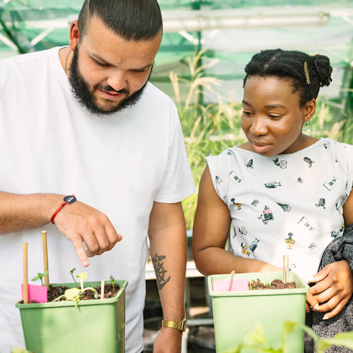 Two individuals gardening with young plants in pots in an industrial greenhouse.