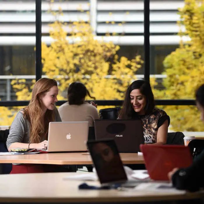 two students with laptops studyng in a library wile trees autumn leaves showing through the windows